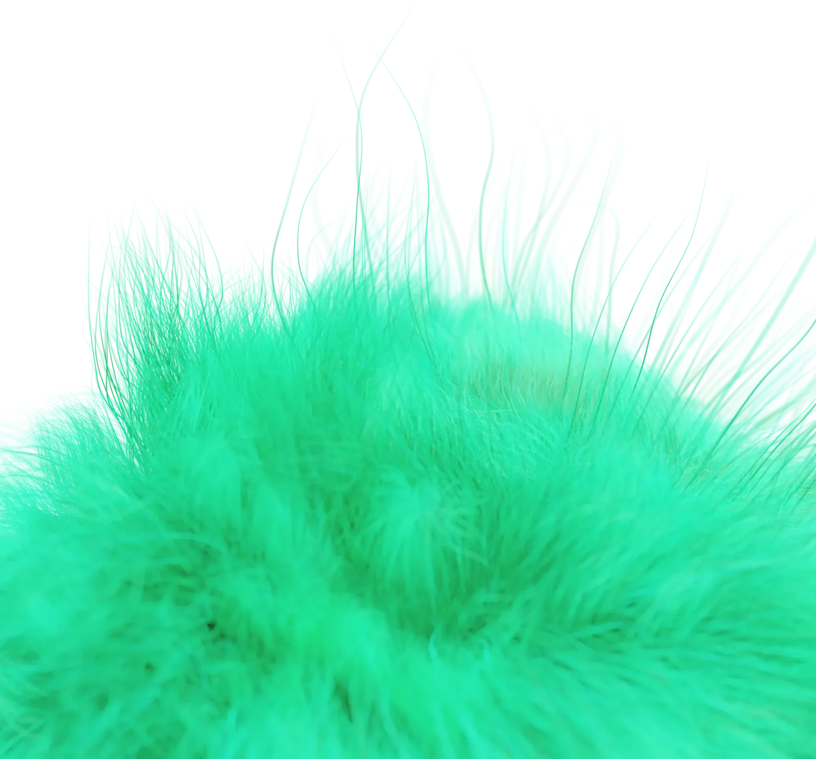 closeup-01-green-light