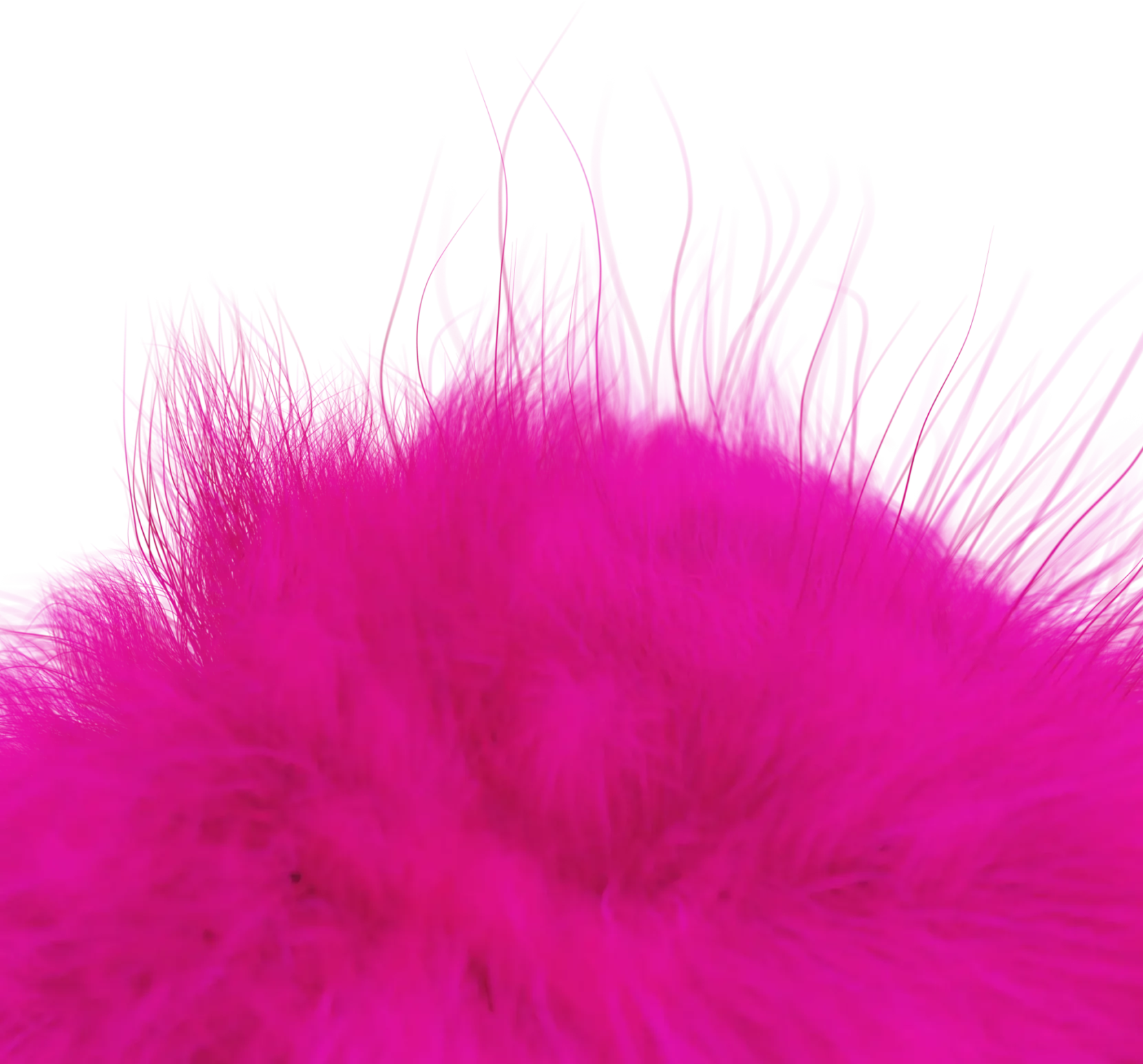 closeup-01-pink-light