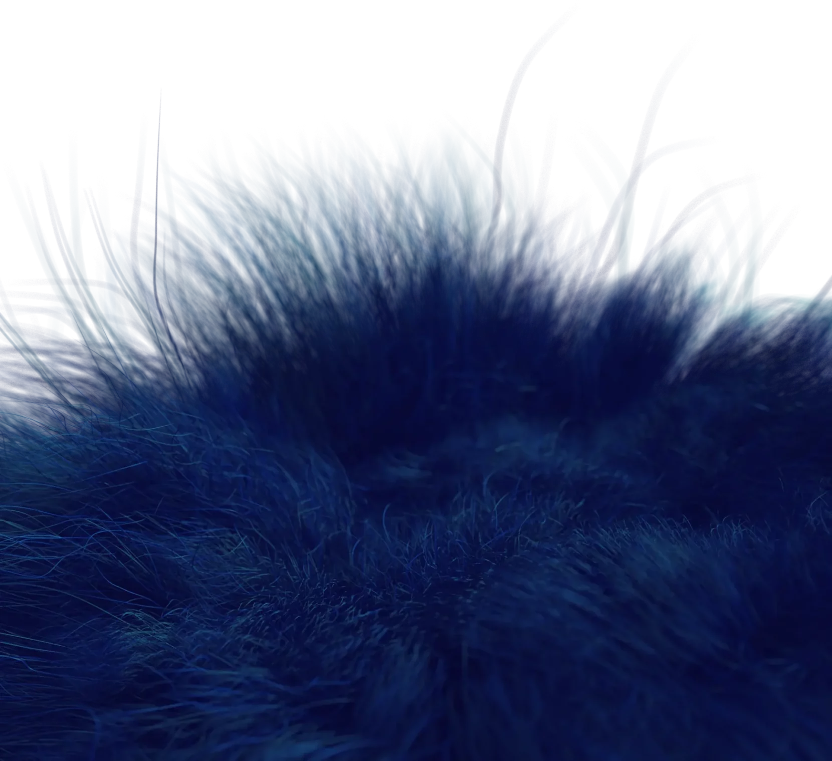 closeup-02-blue-dark