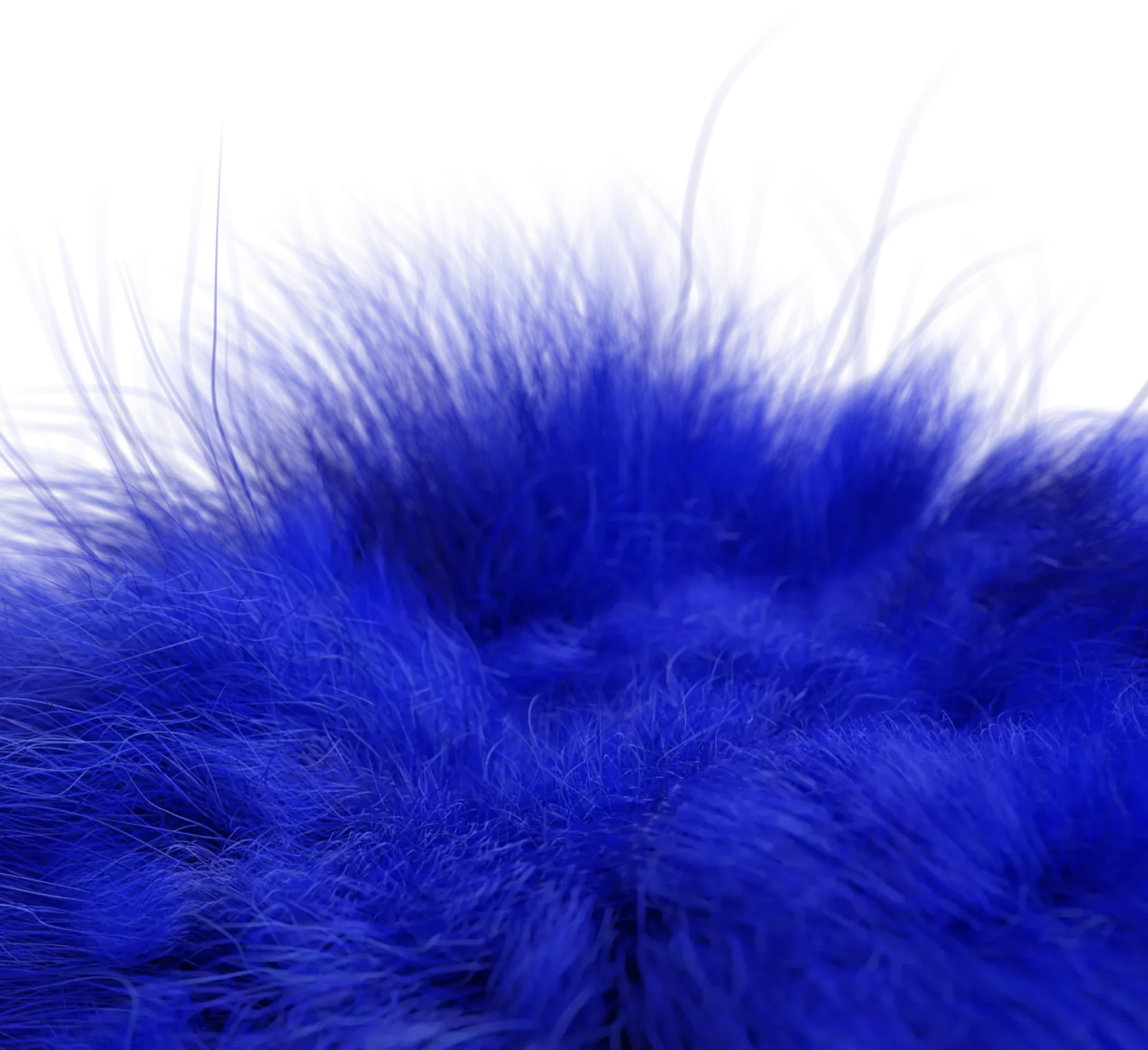 closeup-02-blue-light