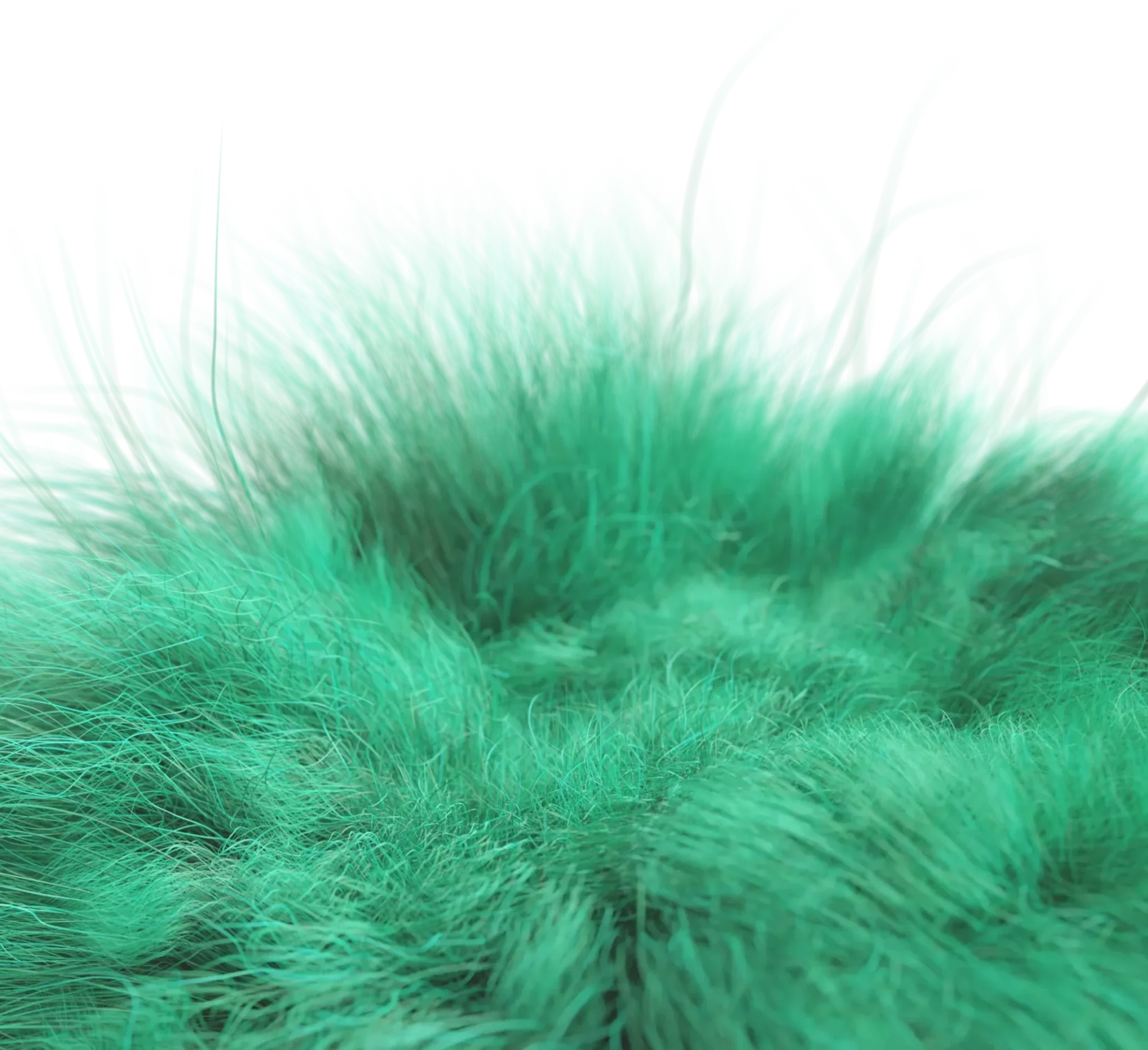 closeup-02-green-dark