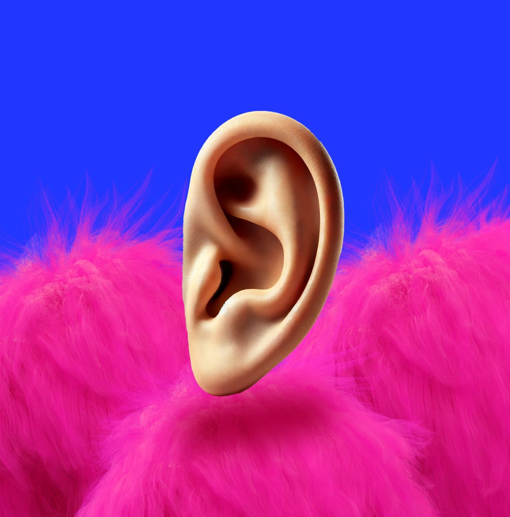 ear-fluff-ecoute